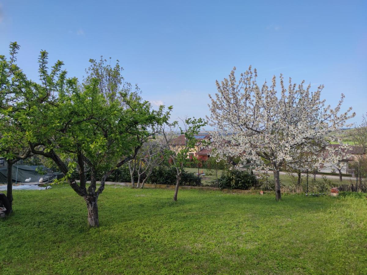 Relax In Collina A Due Passi Dal Mare Apartman Torriana Kültér fotó
